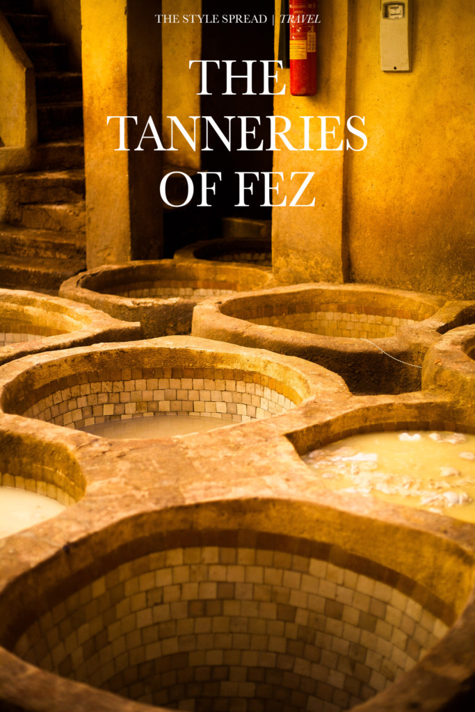 Leather tanneries