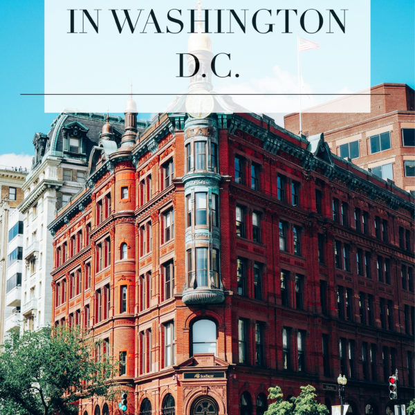 10 Things to Do in Washington D.C.