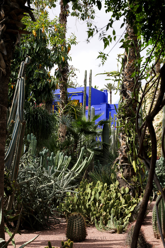 Jardin Majorelle