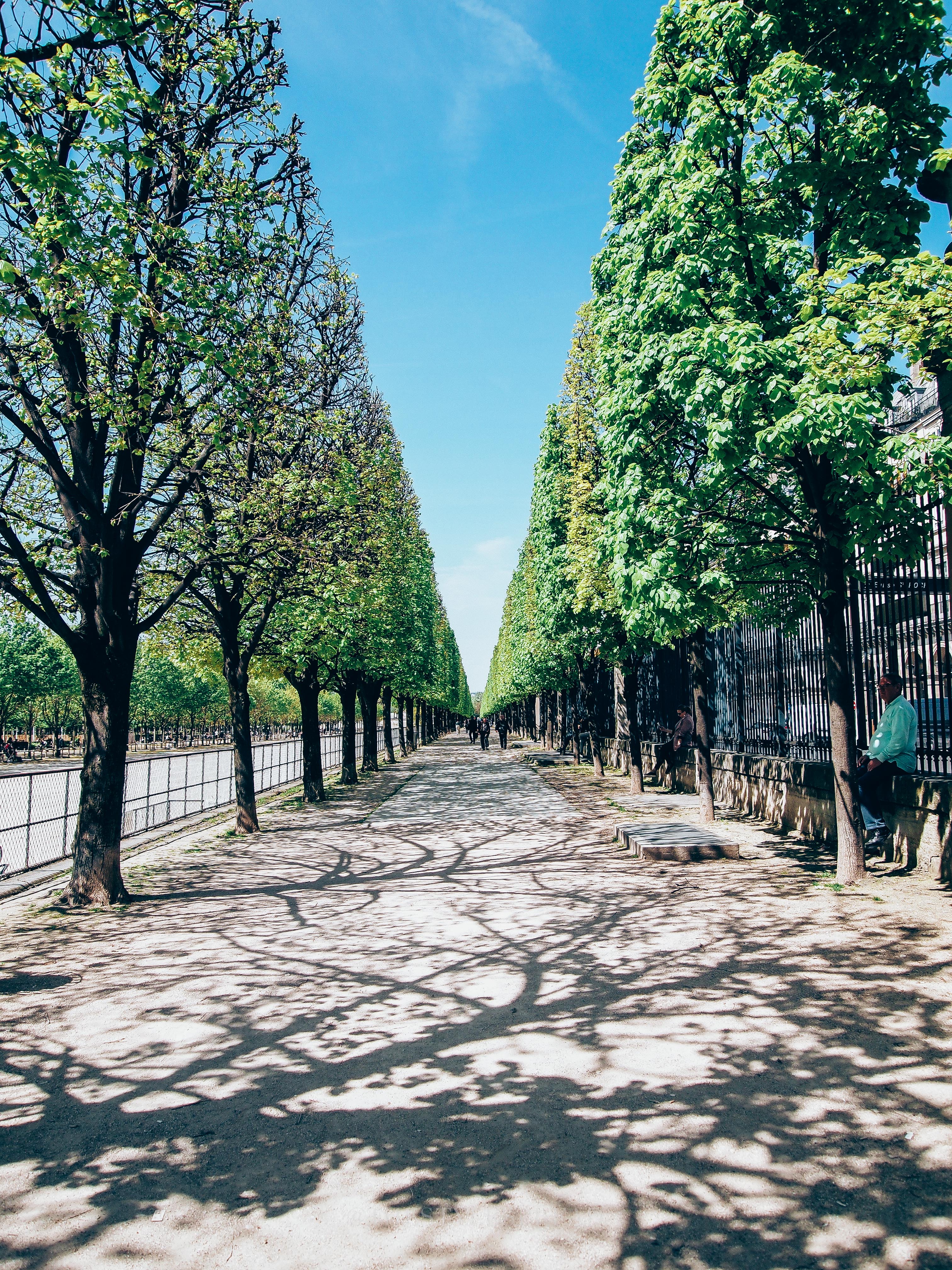 tuileries