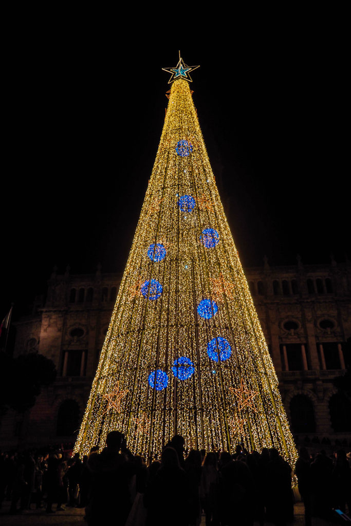 Porto Christmas tree